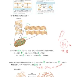 山口