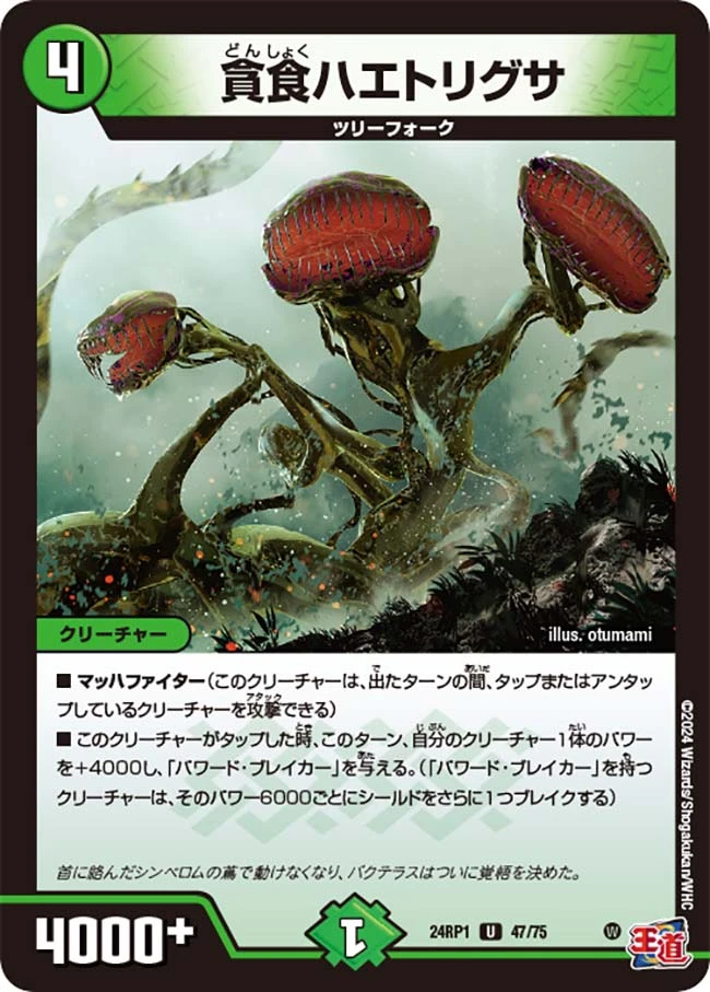 貪食ハエトリグサ FRONT