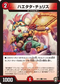 ハエタタ・チュリス - バリエーション1