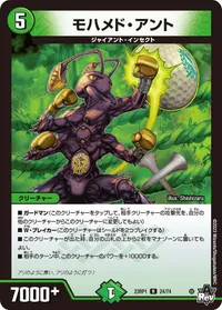 モハメド・アント (DM23RP1 24/74) - R