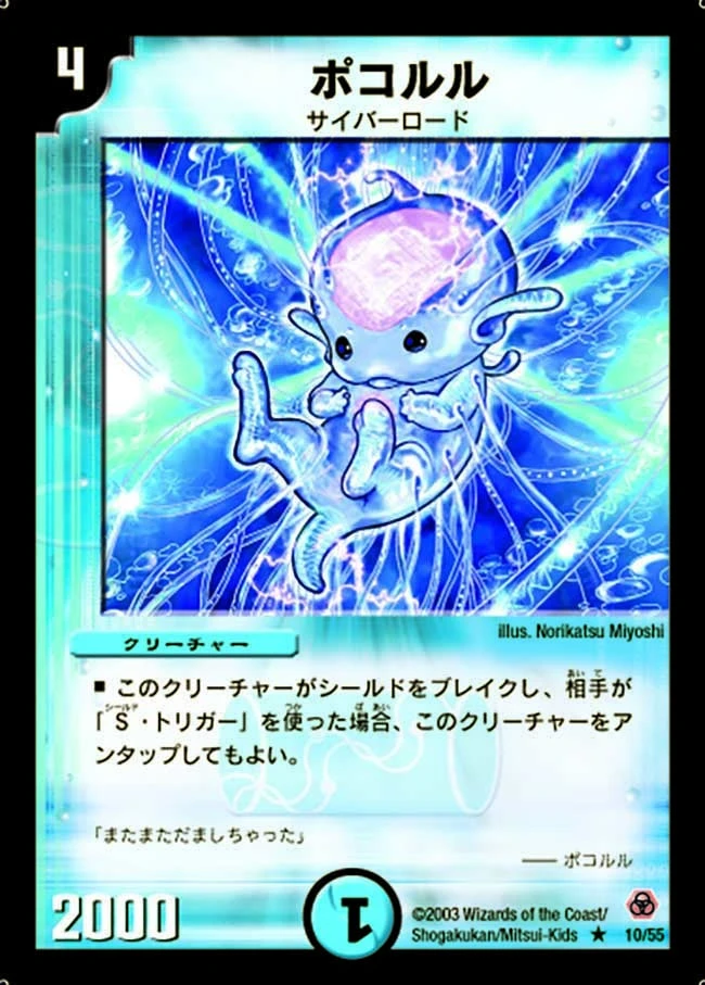 ポコルル FRONT