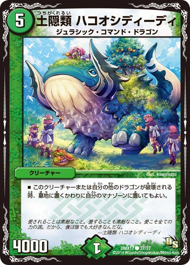 土隠類 ハコオシディーディ FRONT