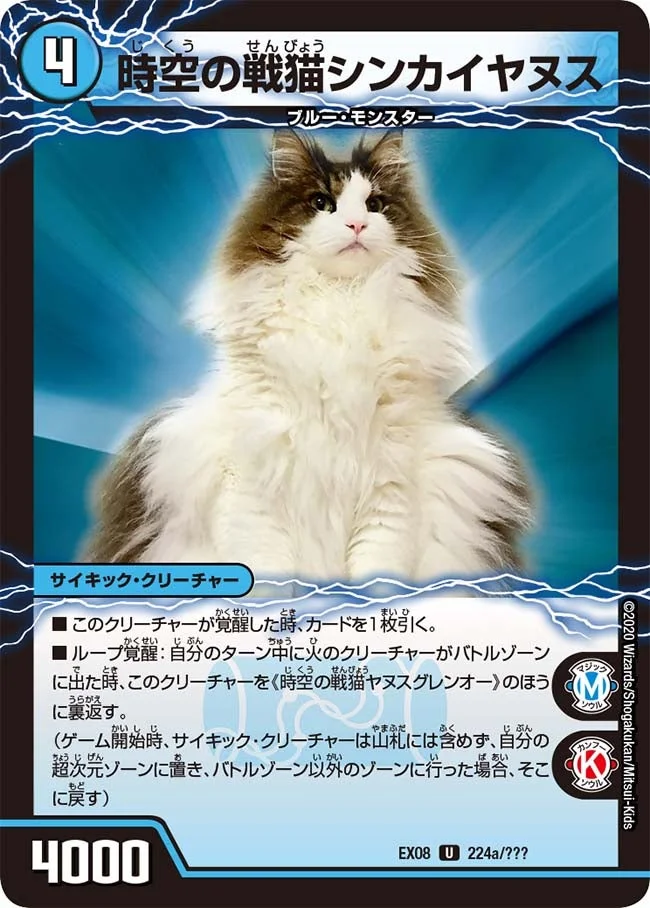 時空の戦猫シンカイヤヌス (DMEX08 224/???)
