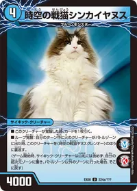 時空の戦猫シンカイヤヌス (DMEX08 224/???) - U