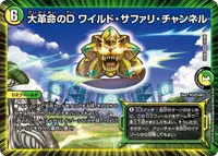 大革命のD ワイルド・サファリ・チャンネル (DMEX06 34/98) - VR