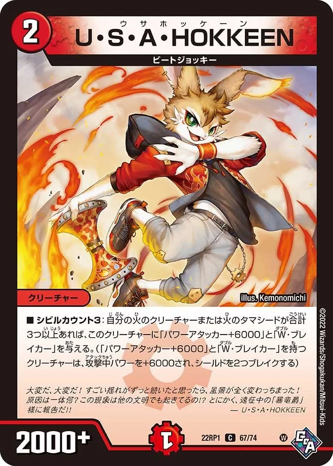 U・S・A・HOKKEEN (DM22RP1 67/74)