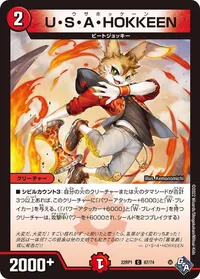 U・S・A・HOKKEEN (DM22RP1 67/74) - C