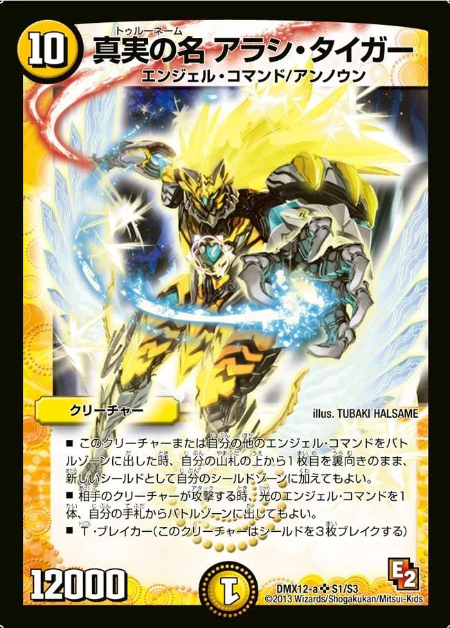 真実の名 アラシ・タイガー FRONT