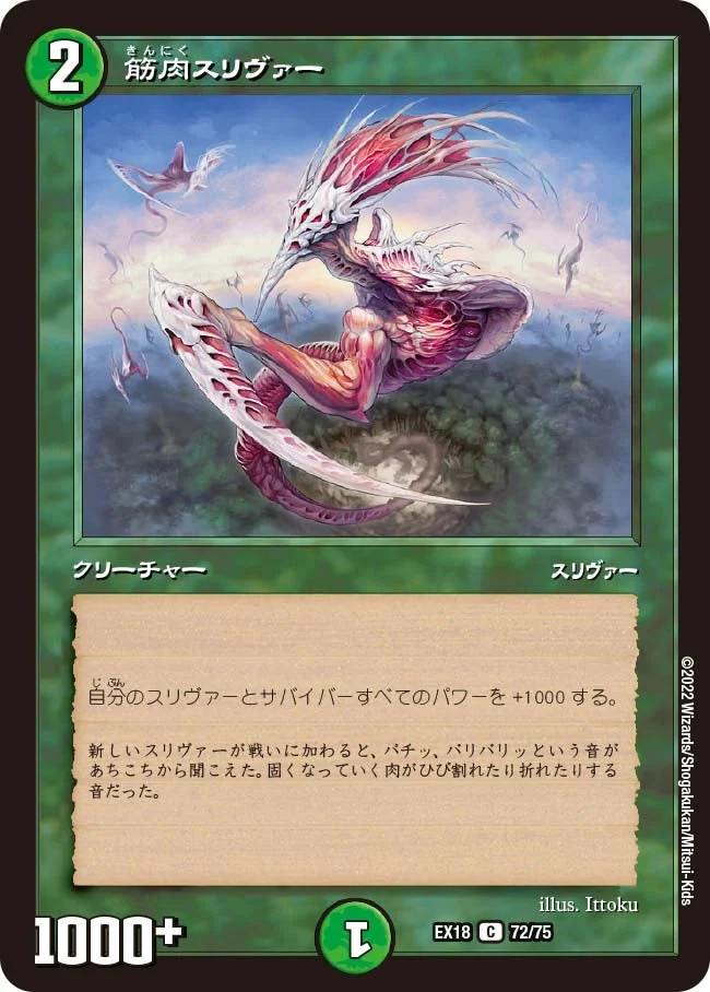 筋肉スリヴァー (DMEX18 72/75)