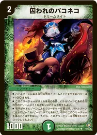 囚われのパコネコ (DM21 19/55) - R