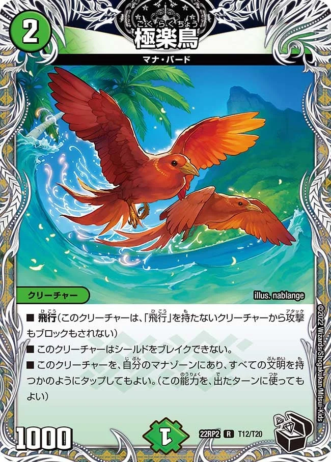 極楽鳥 (DM22RP2 T12/T20)