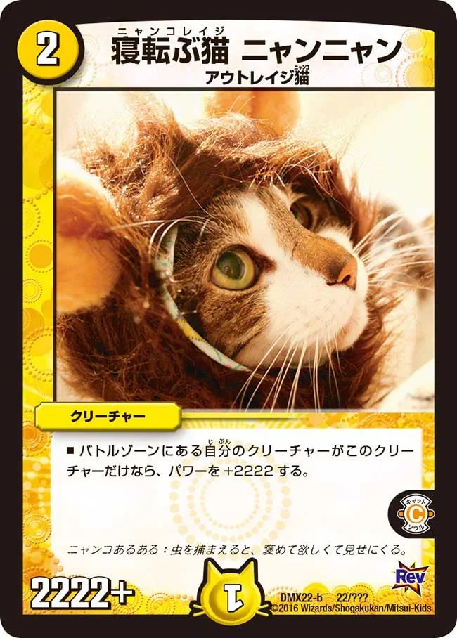 寝転ぶ猫 ニャンニャン (DMX22 22/？？？)
