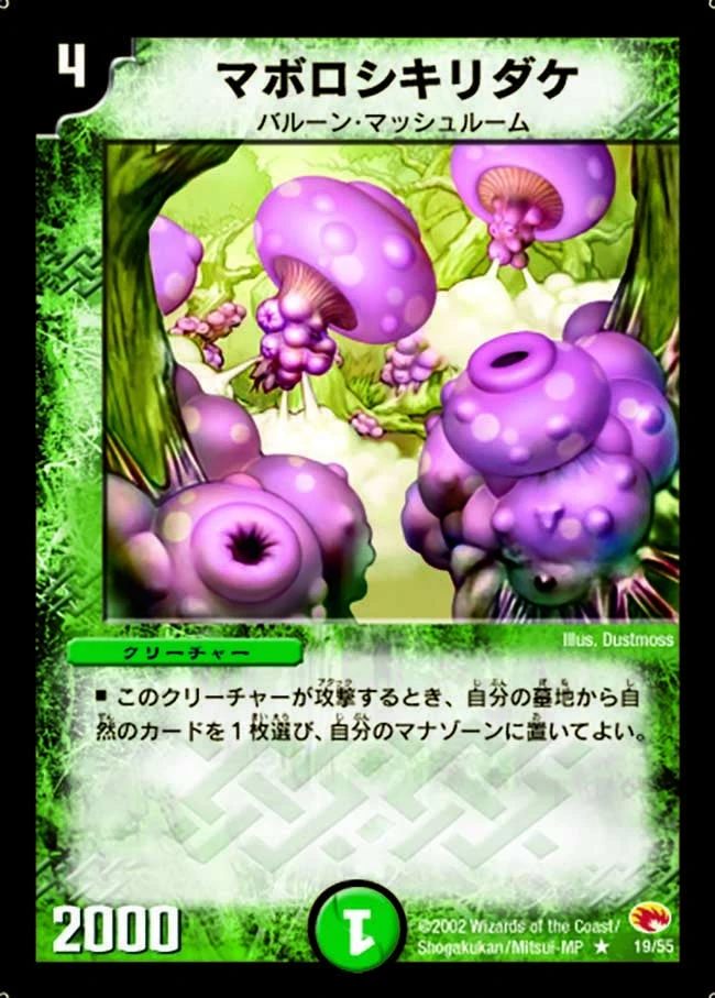 マボロシキリダケ FRONT