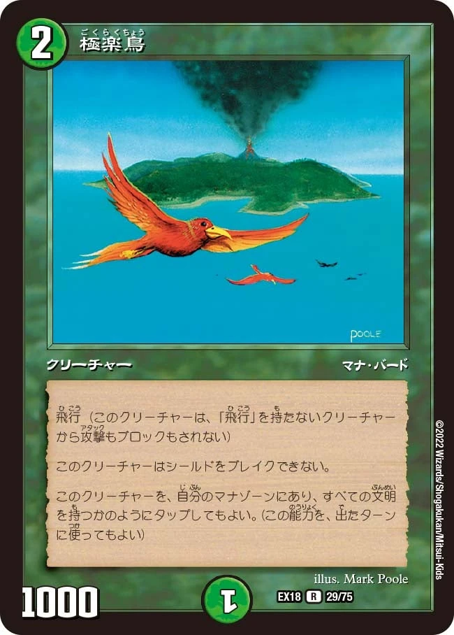 極楽鳥 FRONT