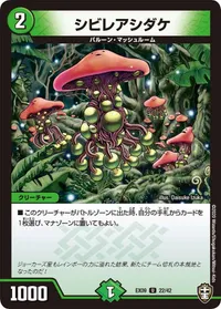 シビレアシダケ (DMEX09 22/42) - U