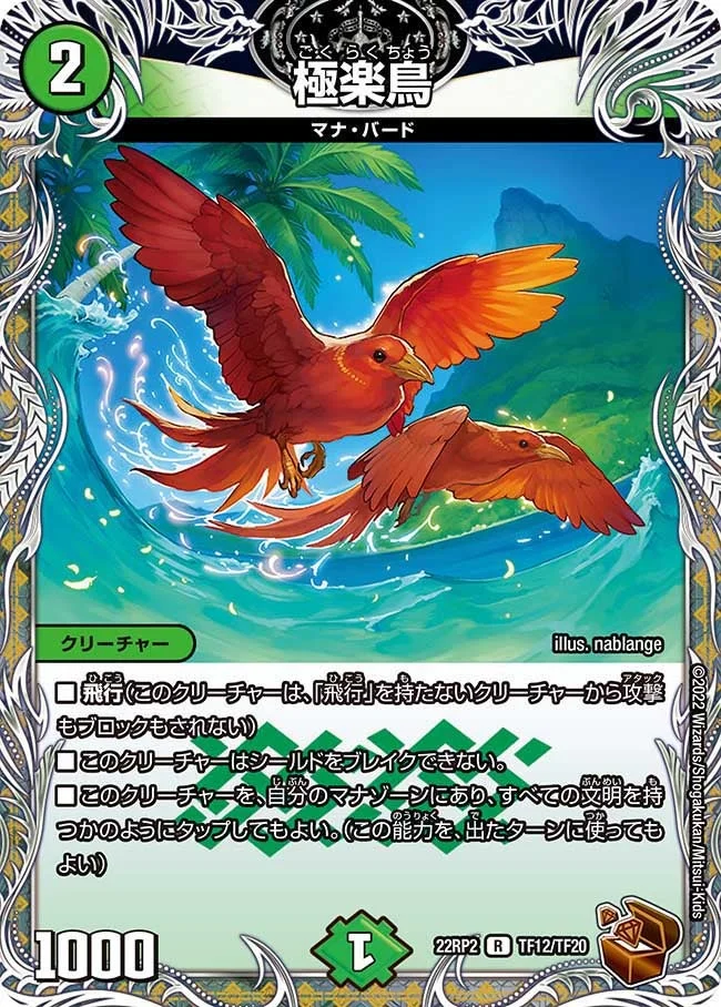 極楽鳥 (DM22RP2X TF12/TF20)