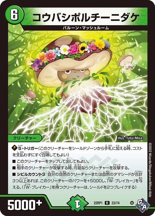 コウバシポルチーニダケ (DM22RP1 23/74)