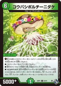 コウバシポルチーニダケ (DM22RP1 23/74) - R