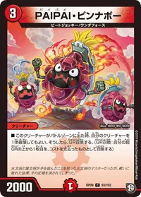 PAIPAI・ピンナポー (DMRP09 93/102) - C