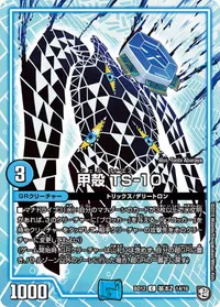 甲殻 TS-10 (DMBD12 G14/G16) - C