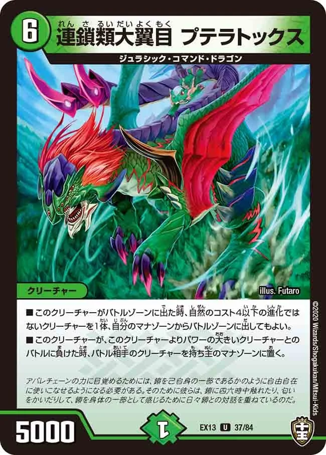 連鎖類大翼目 プテラトックス (DMEX13 37/84)