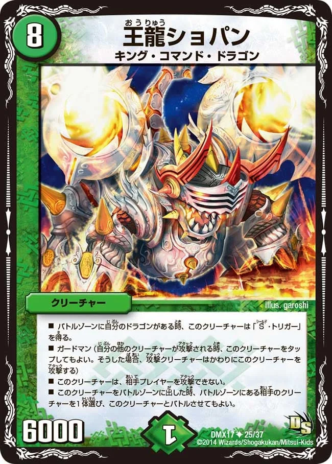 王龍ショパン (DMX17 25/37)