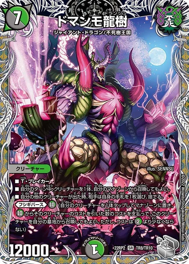 ドマンモ龍樹 (DM22RP2X TR8/TR10)