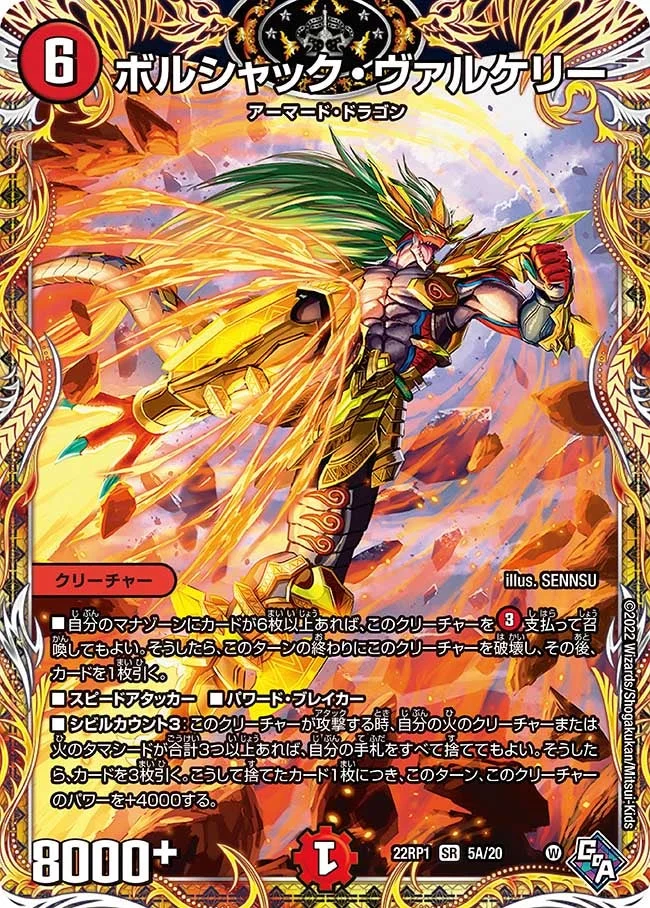 ボルシャック・ヴァルケリー (DM22RP1 5A/20)