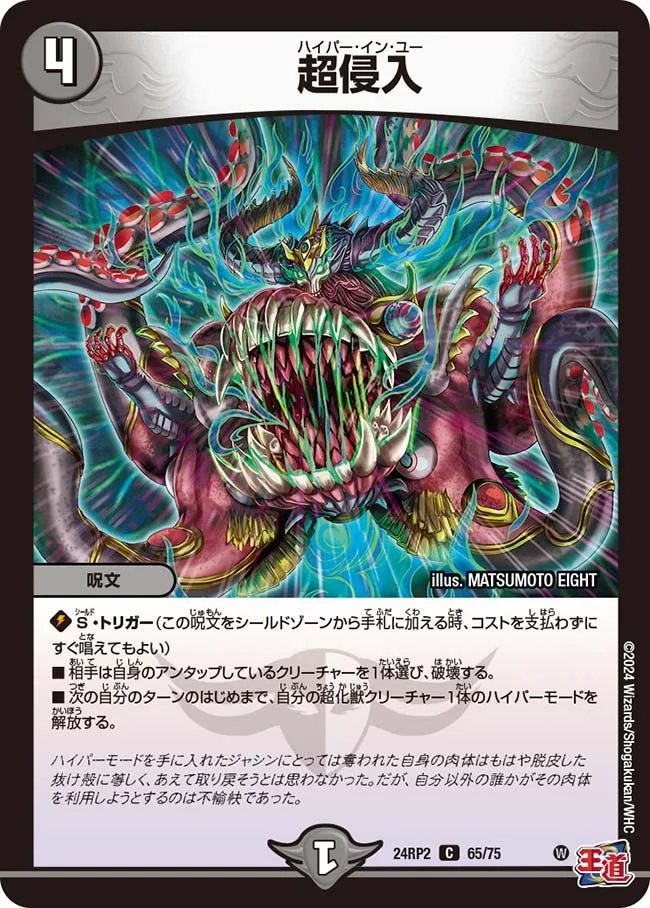 超侵入 (DM24RP2 65/75)