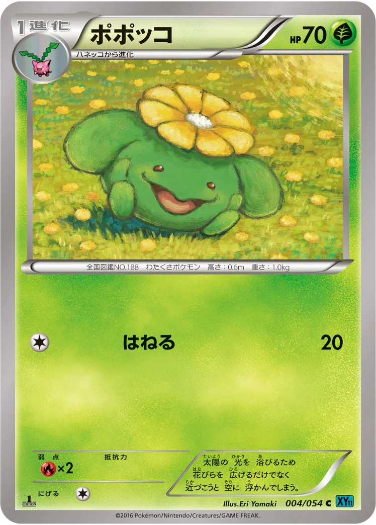 ポポッコ (XY11-Br 004/054)