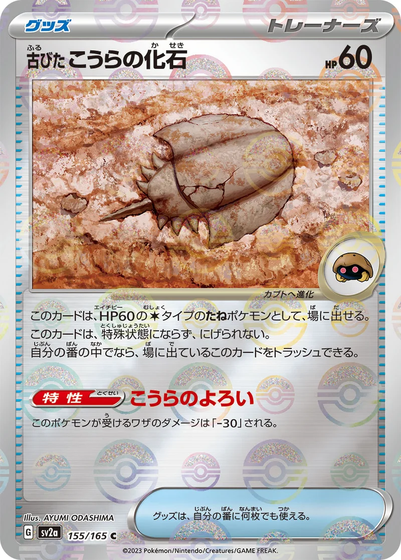 古びたこうらの化石 (SV2a 155/165)
