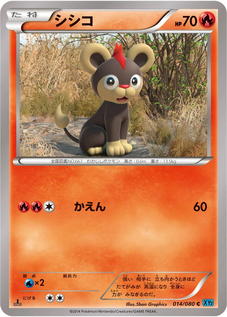 シシコ (XY2 014/080)