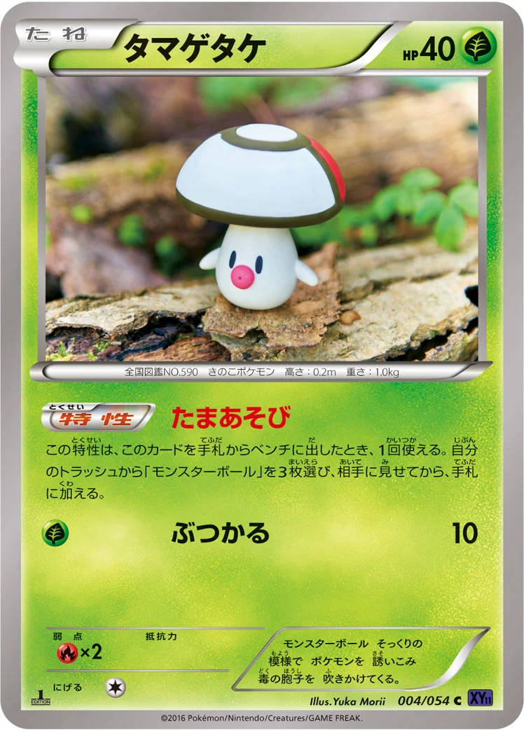 タマゲタケ (XY11-Bb 004/054)