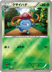 クサイハナ (XY 002/171) - ミラー