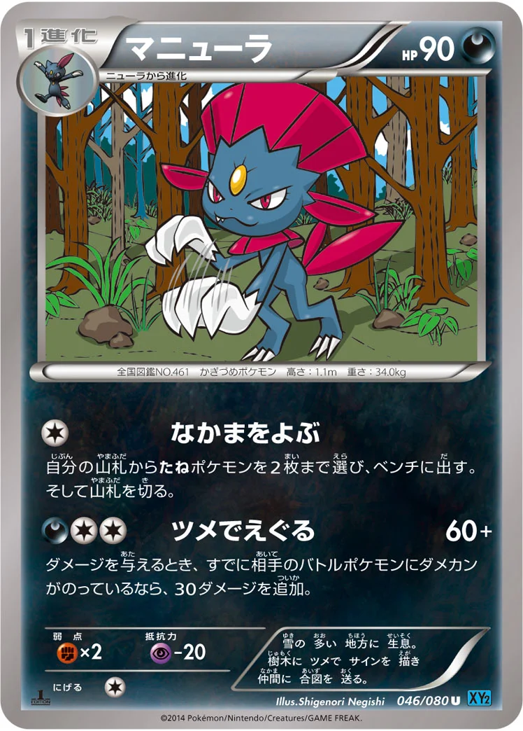 マニューラ (XY2 046/080)