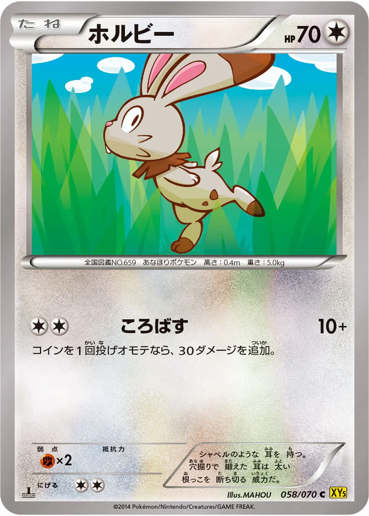 ホルビー (XY5-Bg 058/070)