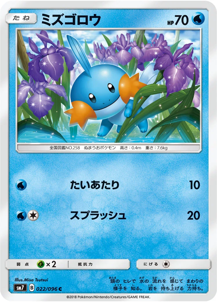 ミズゴロウ (SM7 022/096)