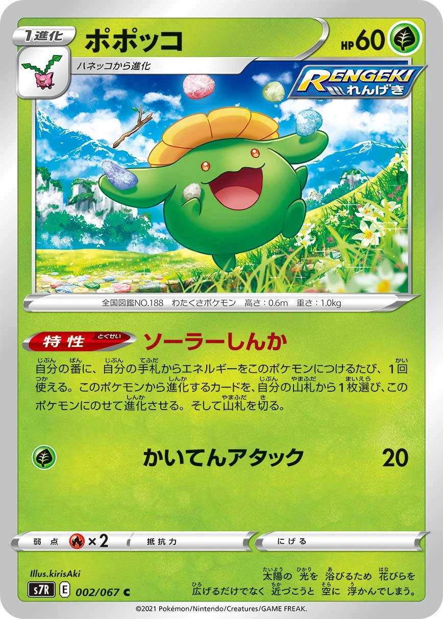 ポポッコ FRONT