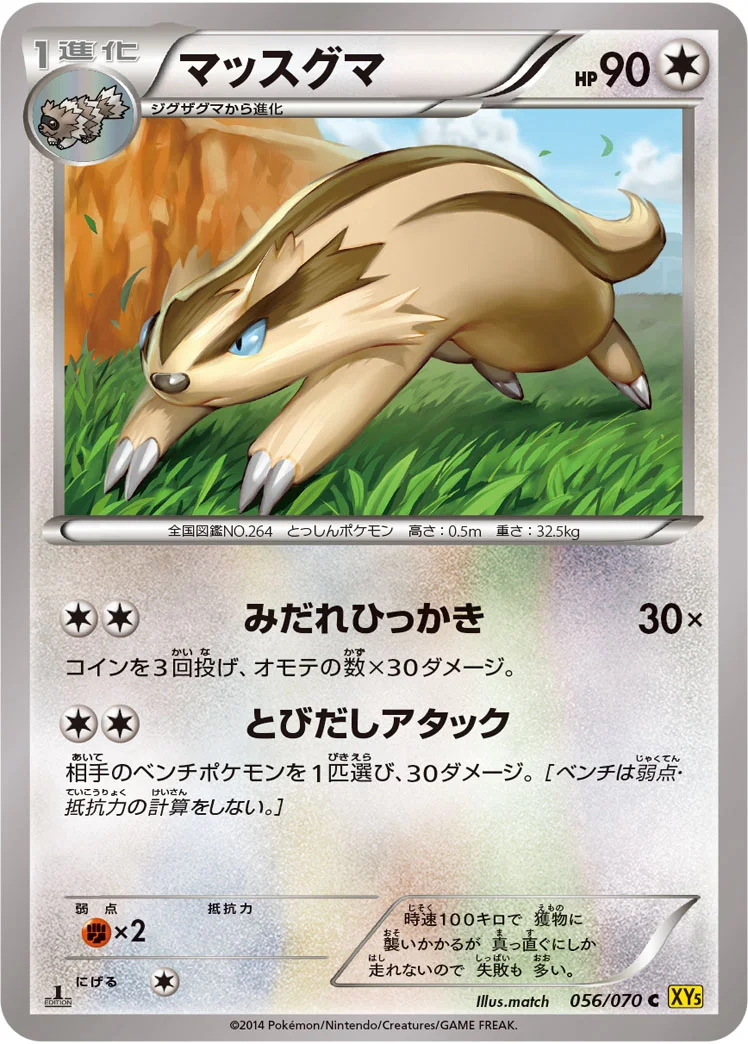 マッスグマ (XY5-Bg 056/070)