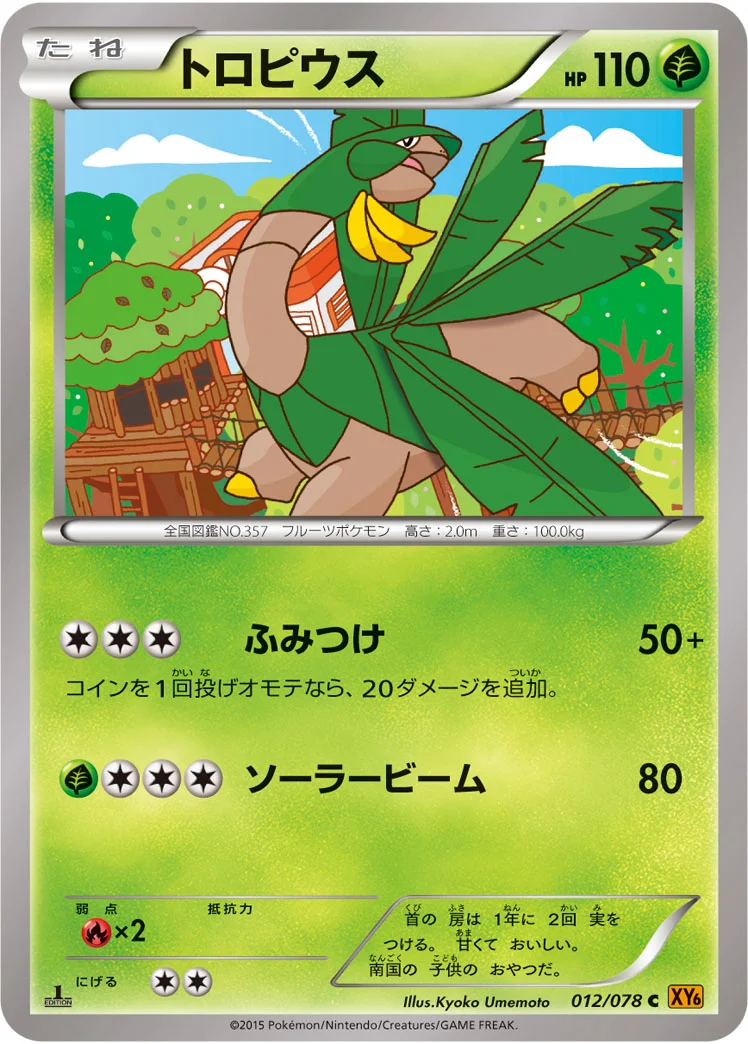 トロピウス (XY6-B 012/078)