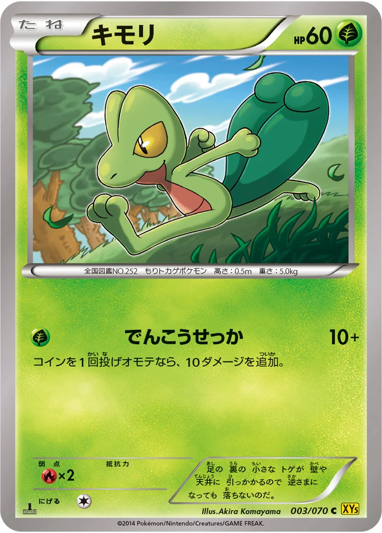 キモリ (XY5-Bg 003/070)