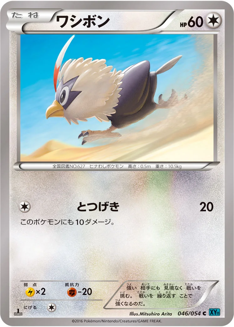 ワシボン (XY11-Br 046/054)
