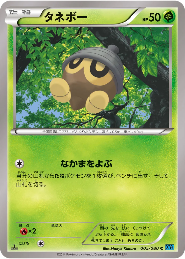 タネボー (XY2 005/080)