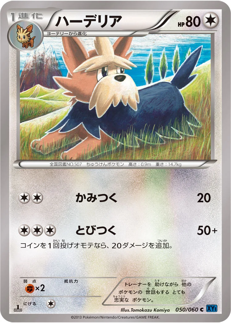 ハーデリア (XY1-Bx 050/060)