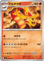 マルヤクデ (M5 009/081) - C