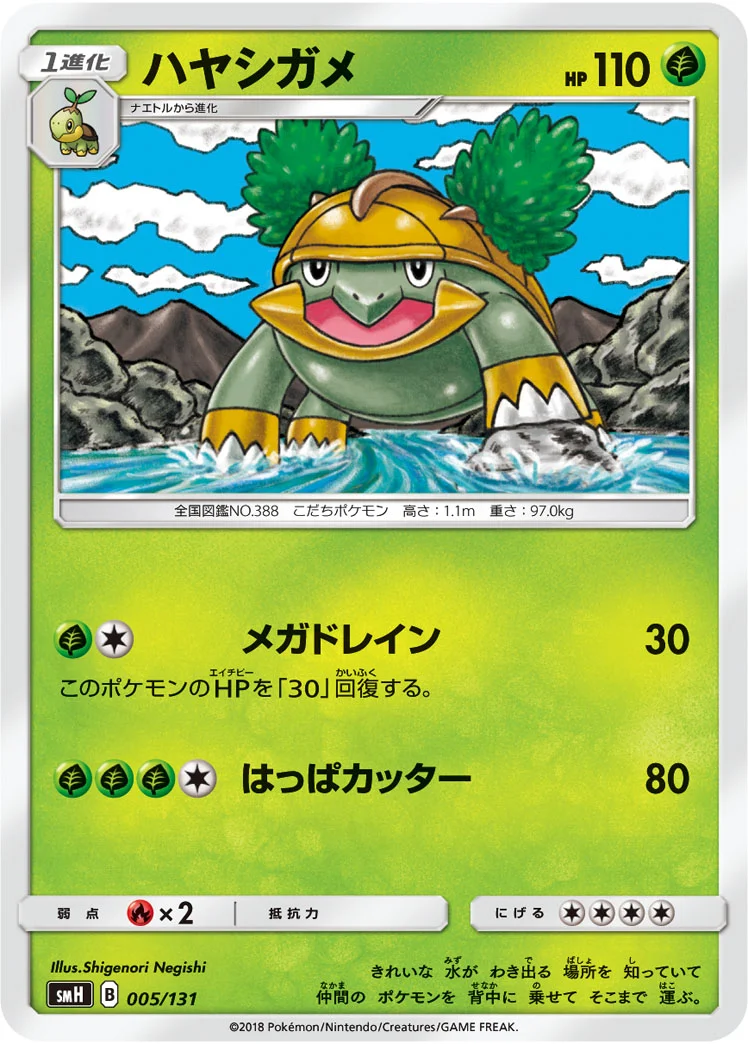 ハヤシガメ (SMH 005/131)