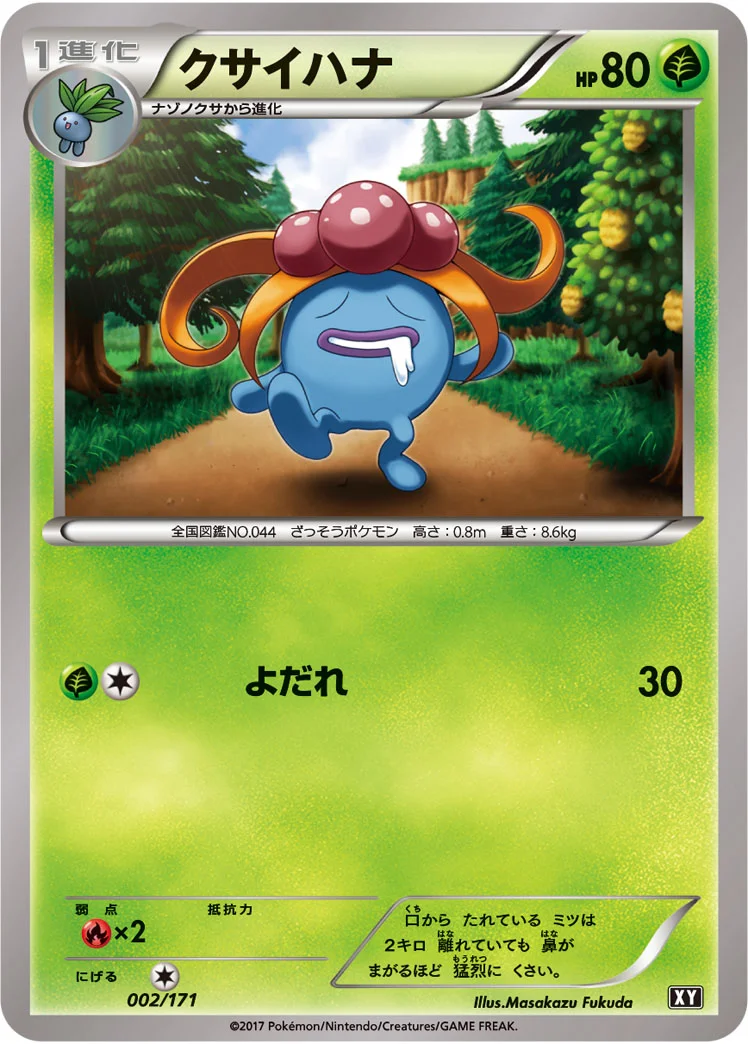 クサイハナ (XY 002/171)