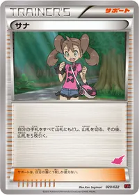 サナ (XYE 020/022) - ミラー