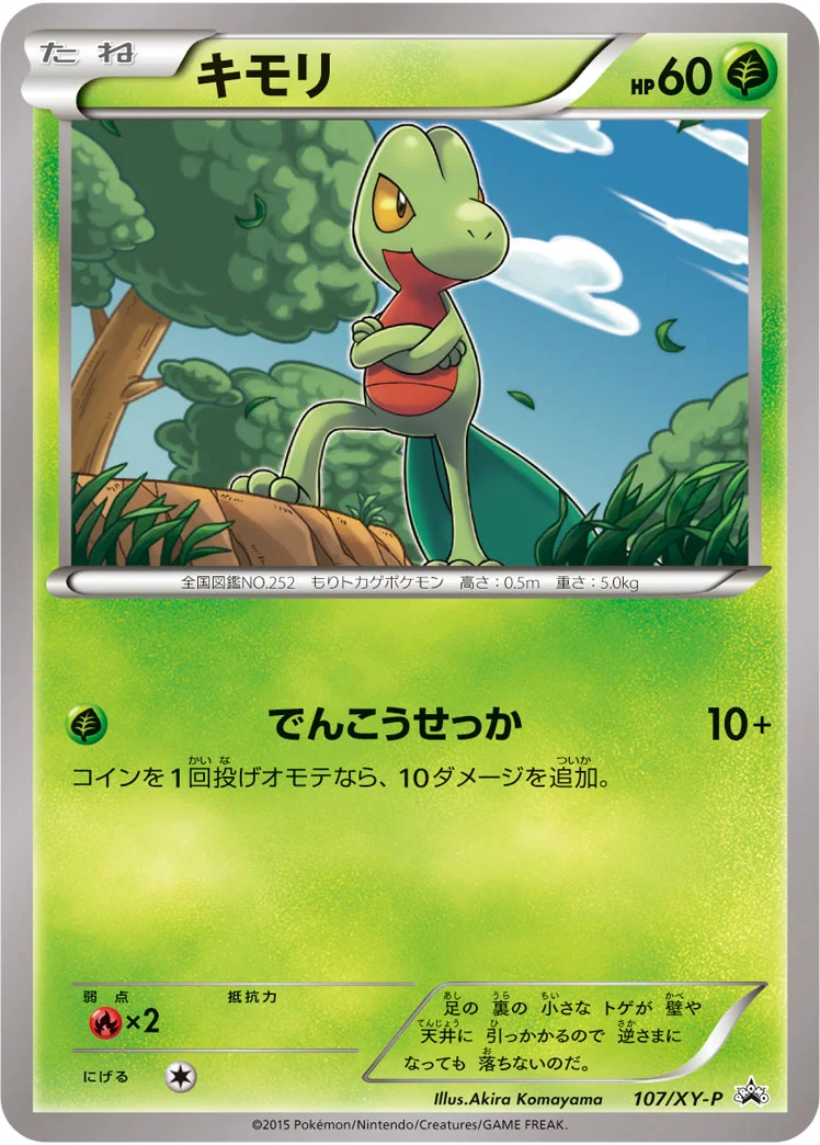 キモリ (XYP 107/XY-P)