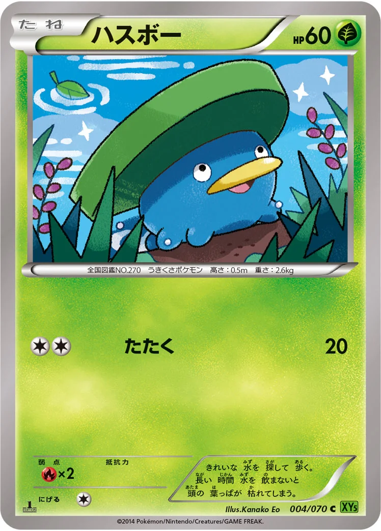 ハスボー (XY5-Bt 004/070)